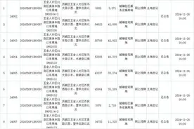今年以来济南最大规模供地，王舍人片区居住用地挂牌总面积超40万平方米图片