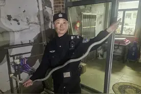 大蛇溜进居民家阳光房，民警只身进入徒手解决图片