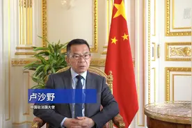 专访｜坚持“中法精神”，不断充实中法全面战略伙伴关系的内涵——访中国驻法国大使卢沙野图片