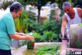 韭花酱里回味妈妈的味道图片