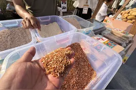 庆丰收！宜宾江安举办农民趣味运动会，双黄蛋、泥巴腊肉“农味”足图片