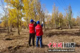 山西天镇：供电线路绝缘化改造 有效防范森林火灾图片