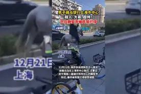 男子骑马穿行上海市中心，路人：大哥，超帅！已在静安寺被民警拦停图片