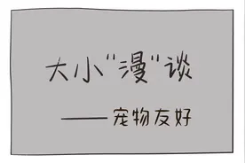 大小“漫”谈|“宠物友好”的风还是吹到了烟台~图片