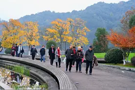 政策市场双向推动，银龄消费步入增长快车道图片