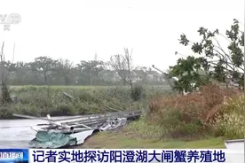 阳澄湖大闸蟹被台风“吹”跑了？记者实地探访图片