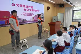 坐公交遇导盲犬怎么办？这场公交课堂告诉你图片