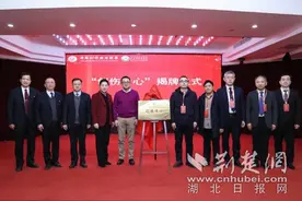 祝贺！“国家级创伤中心”落户武汉市武昌医院图片