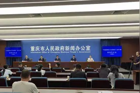 重庆丰都：努力打造500亿级的新材料产业集群图片
