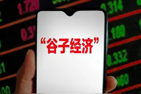 财经新观察丨“谷子经济”站上风口，究竟有何魅力？图片