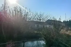 人性的弱点句句戳心图片