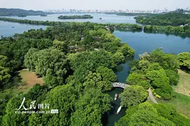 初夏西湖美景迎客来图片
