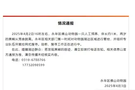 河北一动物园有黑熊出逃，官方通报图片