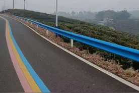 信阳浉河：加装路灯暖人心，照亮乡村振兴路图片