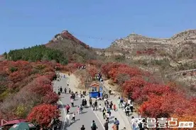 故乡图片