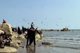 强信心 看消费｜秦皇岛：文旅市场热 游玩“花式”新图片