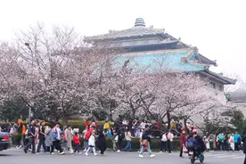 最新最全！湖北高校春日赏花地图来了！图片