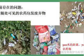 不止杀虫剂，膨大剂生长调节剂也都下乡了｜重视农村农药污染图片