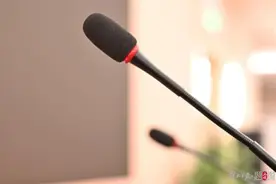 郑永年：民营企业正扮演着越来越重要的角色图片