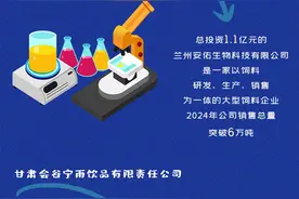 图解|招商“强磁场”赋能经济“加速跑”兰州新区这样干图片