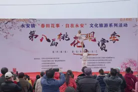 千亩桃花盛放 四川自贡沿滩上演春日里的“花田喜事”图片