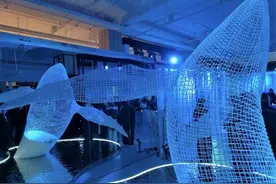 鲸探成立三周年之际举办数字艺术展  数字藏品方兴未艾图片