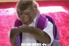 一夜之间“吗喽”占领了年轻人的生活圈，“吗喽”来自何方？图片