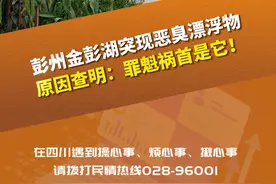 C视频·民情丨彭州金彭湖突现恶臭漂浮物原因查明，“罪魁祸首”是它……图片