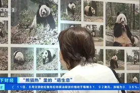 大熊猫人气经久不衰 香香6年为日本带来28亿元经济效益图片