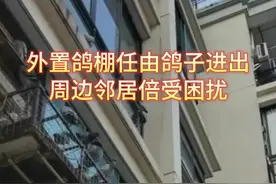 擅自闯入居民家到处拉屎捣乱!沪上这群业主急煞图片