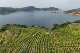 前坪水畔笑声多图片