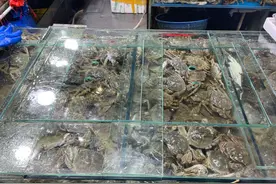 套上秒变阳澄湖等“名牌蟹”？起底大闸蟹“假蟹扣”制售链图片