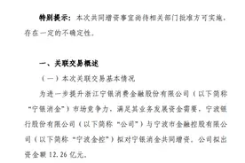 宁银消金总资产增长460.72%，拟增资至45亿图片