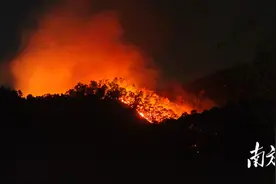 1300余人昼夜处置！江门消防及各地救援力量齐力扑救开平山火图片