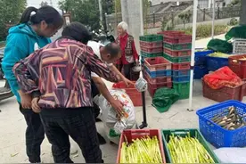 宣城旌德：代收竹笋加工，志愿助农促增收图片