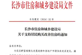 长沙楼市利好密集落地！这个“顶流”楼盘持续“火爆”图片