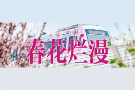 来这里体验水上赏樱的浪漫图片
