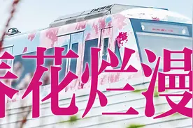 东湖樱花园“国宝级”樱花开啦，周末正值观赏期图片