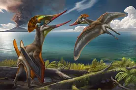 热河生物群发现1.2亿年前的翼龙新属种图片