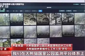 大熊猫来做“导游” 看看它们的野生“邻居”都有谁图片
