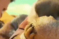 还在看？抓你来啦！图片