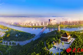 解码“中国铝业之都”丨潍坊临朐：大鹏一日同风起图片