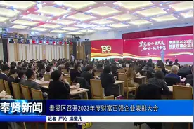 奉贤区召开2023年度财富百强企业表彰大会视频封面