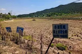 四川一稻虾基地被博主传“随便捡”损失惨重，“完全劝不退！”律师详析三大焦点图片