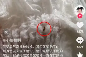 知名品牌婴儿尿不湿上有活虫？回应：经过处理后不可能有虫子存活图片