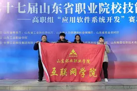 山东铝业职业学院荣获2024年山东省职业院校技能大赛高职组“应用软件系统开发”赛项二等奖图片
