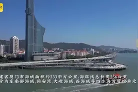 中华白海豚多了、海漂垃圾少了，解码厦门的“鹭岛样本”图片