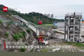粤港澳三方地震救援专业力量首次举行跨境联合演练图片