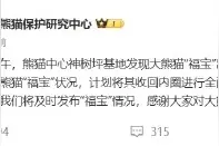 官方回应福宝发抖图片