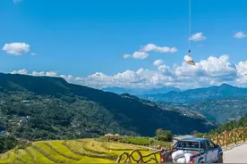 湖北秭归：高山水稻喜丰收图片